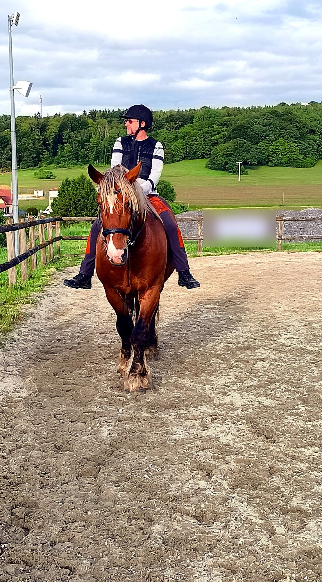 Cavalier sur un cheval de loisir alezan dans une carrière d’écurie